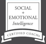 Social & Emotional Intelligence Certified Coach