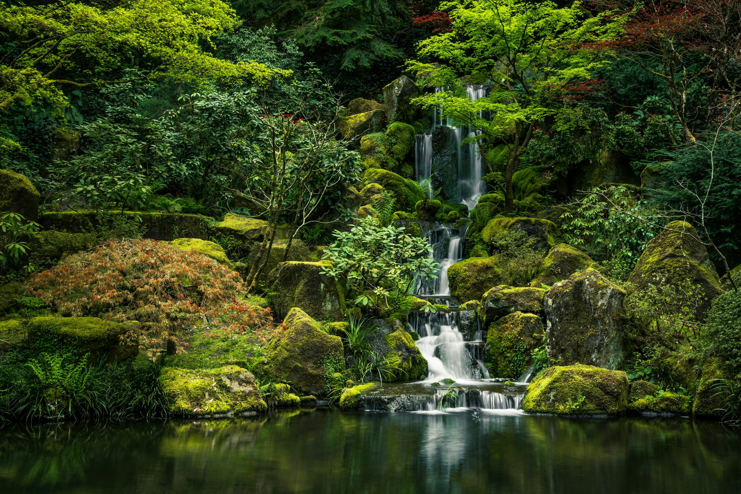 A serene landscape featuring a small waterfall cascading down moss-covered rocks into a calm pond, surrounded by lush green foliage and trees. The generosity of experience.